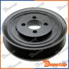 Poulie damper vilebrequin pour FIAT | RKP-FT-006, 10013